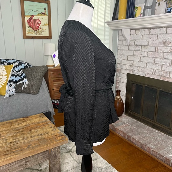 Tree And Horse Garden megara black deep v neck blouse - Picture 4 of 15